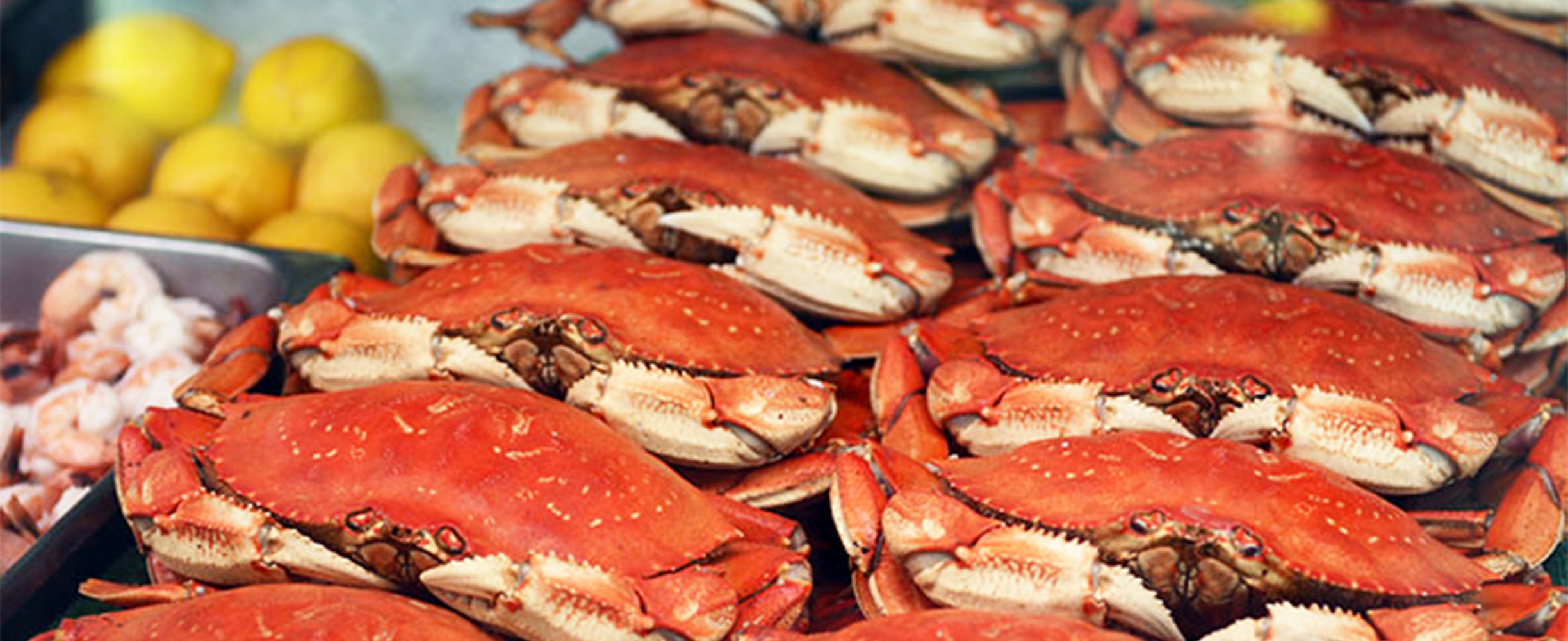 Dungeness crab, a seafood delicacy offered seasonally at our fish market.